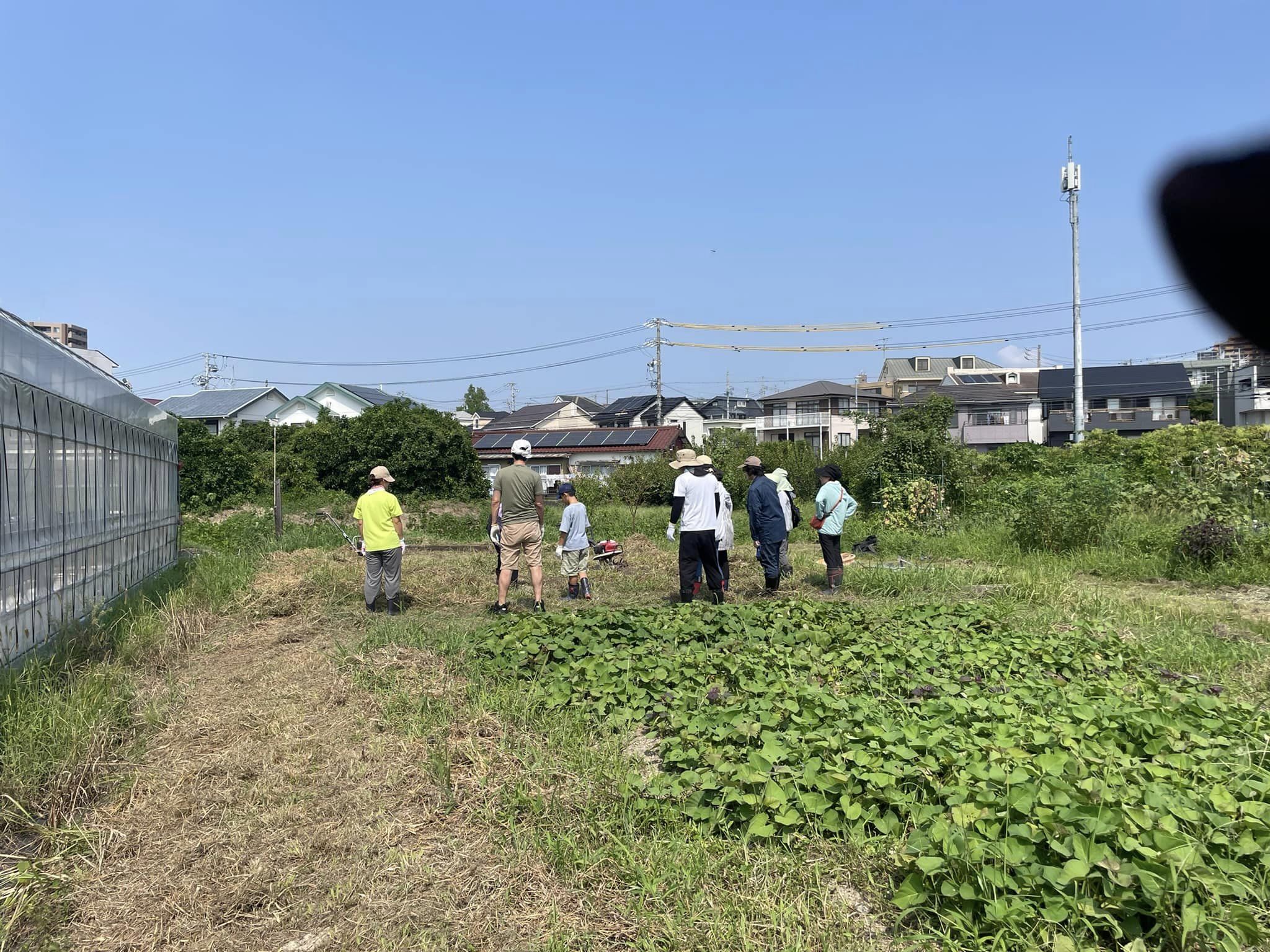 (野菜)あそびばHan farm♪講習会行いました